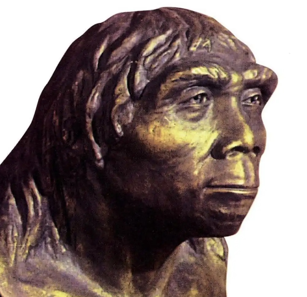 1n34